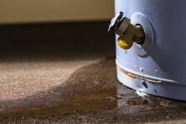 Best Flood damage cleanup  in Yorketown, NJ