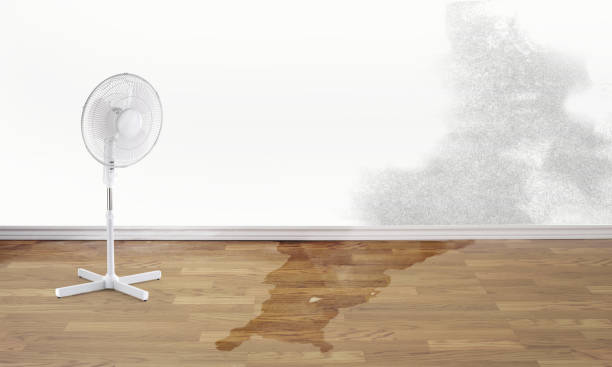 Best Emergency water damage restoration  in Yorketown, NJ