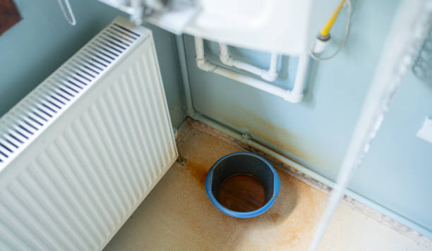 Best Basement water damage restoration  in Yorketown, NJ