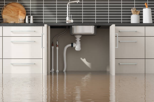 Best Flood restoration services  in Yorketown, NJ