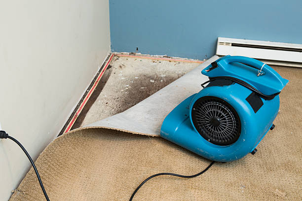 Professional Water damage restoration in Yorketown, NJ